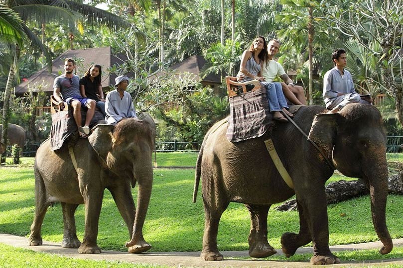 Elephant Village Tour in Jaipur