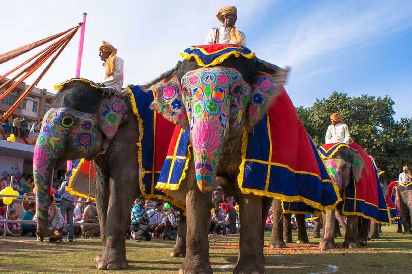 Jaipur Tour with Elephant Festival