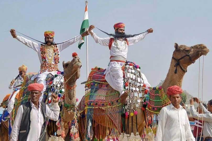 Pushkar Camel Festival Celebration