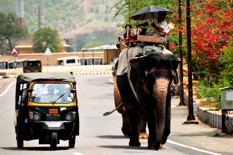 Jaipur Tuk Tuk Tour